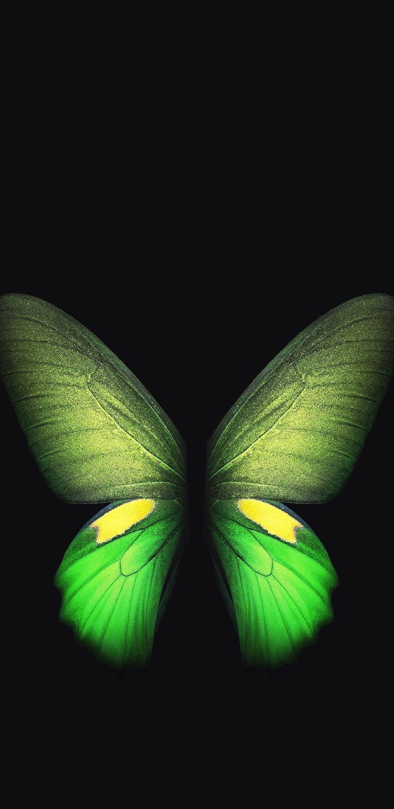 Pornhub's latest shameless stunt is a popup smut shop