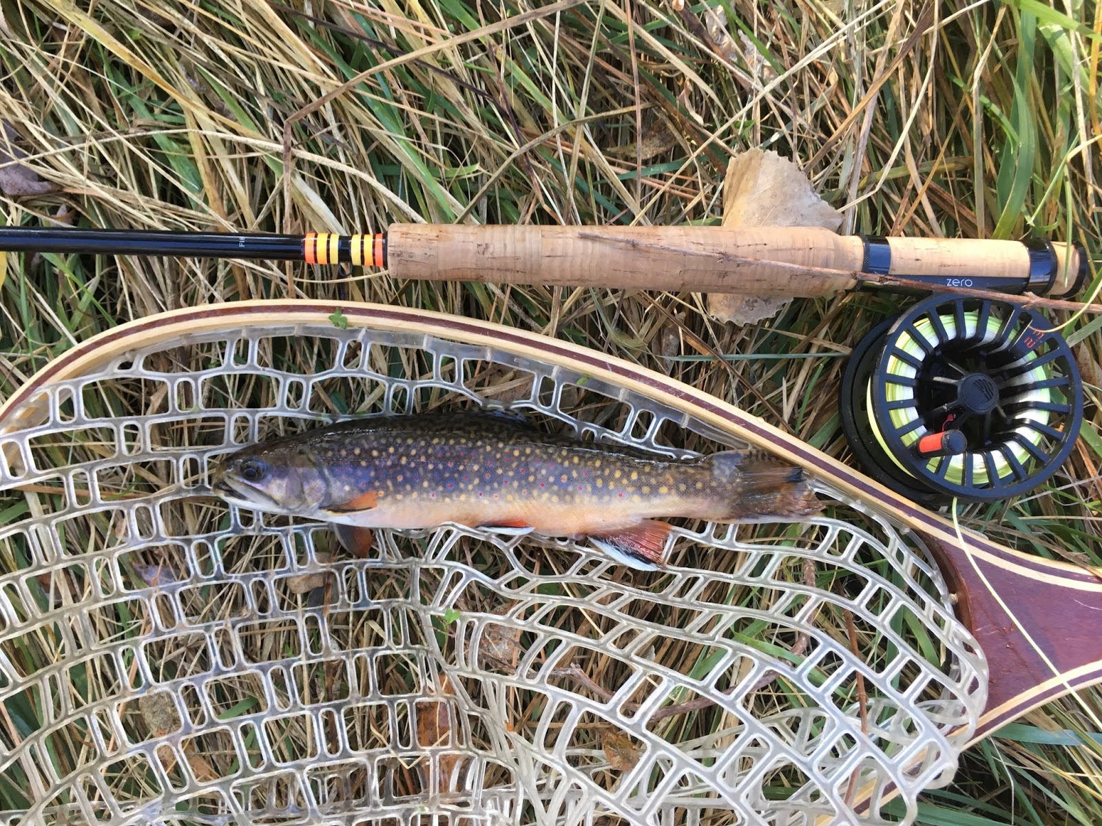 Cornhusker Fly Fishers The Nebraska Trout Slam