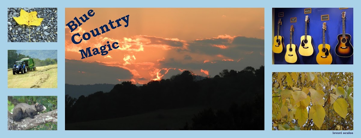 Blue Country Magic