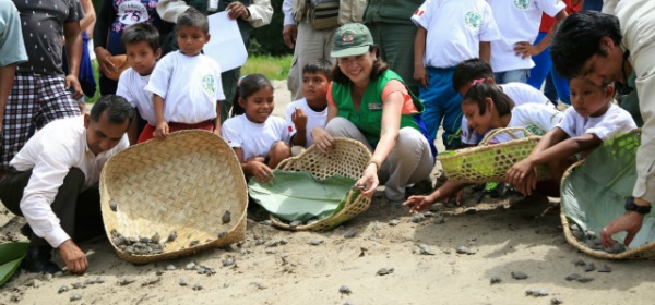 Del 12 al 13 de noviembre - Festival de las Tortugas de Agua Dulce