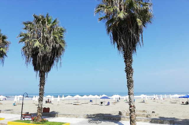 Playa Puerto Field