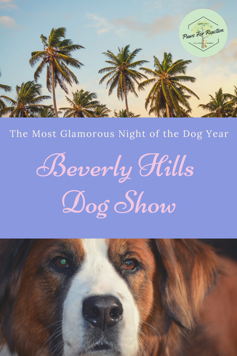The Beverly Hills Dog Show airs tonight Paws for Reaction