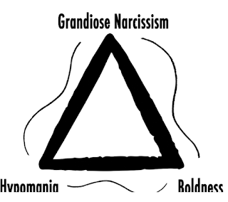 The four Triads: the light side of the Dark Triad and the dark side of ...