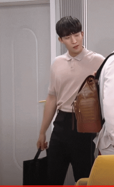 DelightfulJoyousIlladopsis-size_restrict