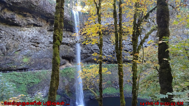 Silver Falls State Park Falls Colours