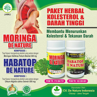 Obat Kolesterol