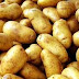 Δείτε πότε οι πατάτες μπορούν να προκαλέσουν δηλητηρίαση