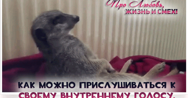 Каждый человек выслушанным. Доброе хреновое утро. Мочь прислушиваться. Переписки 18. Гордость портит отношения.