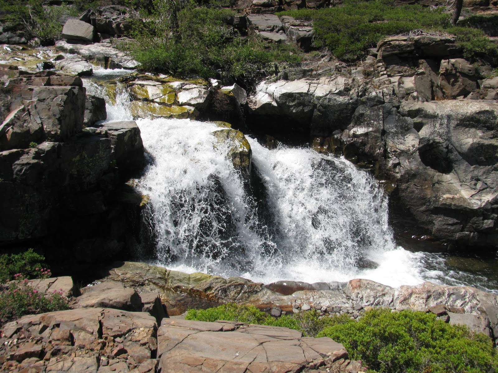 Weekend Wanderluster Picayune Valley (Placer County, California)