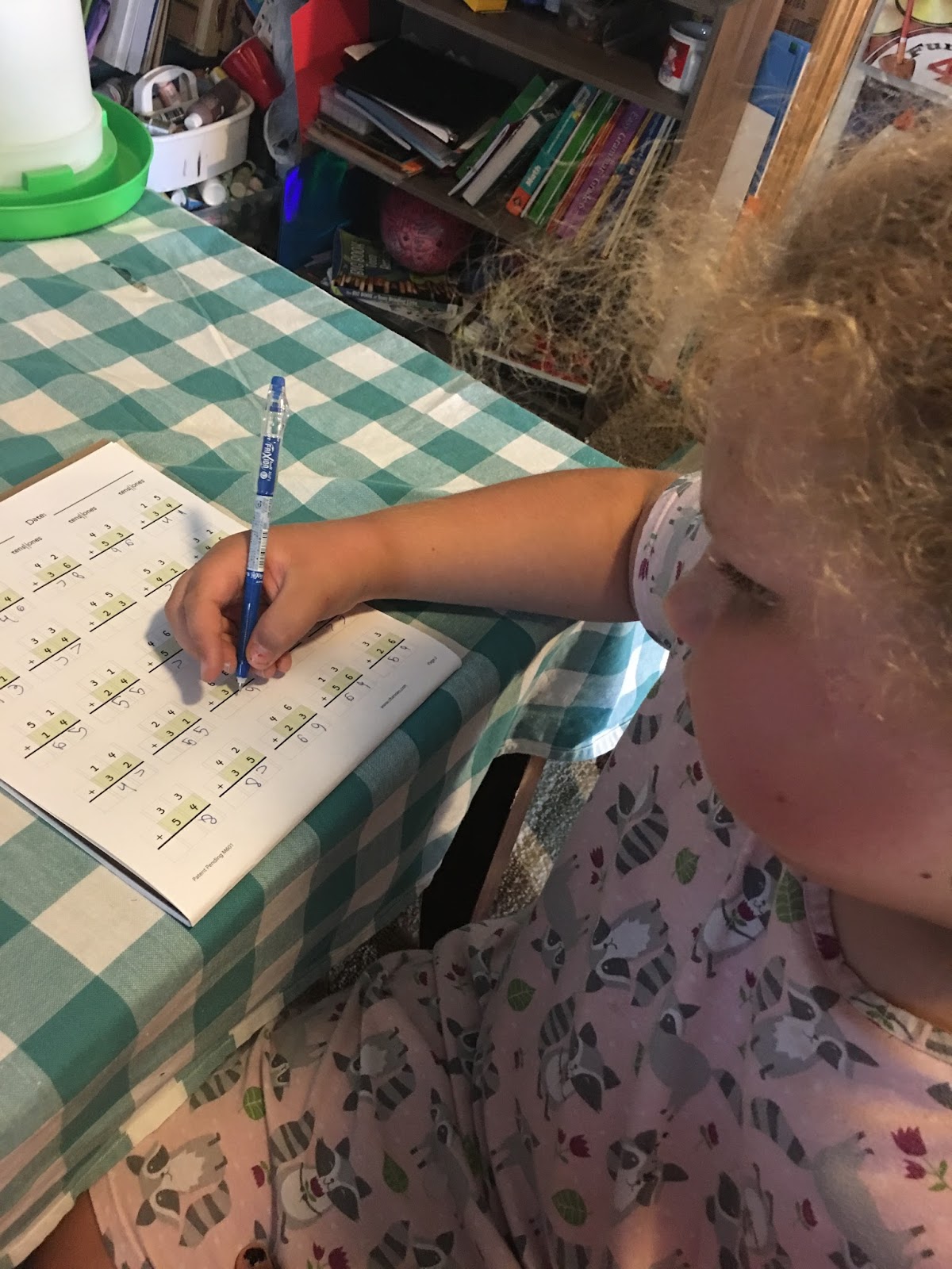 Krazy Kuehner Days Channie’s Visual Handwriting & Math Workbooks One