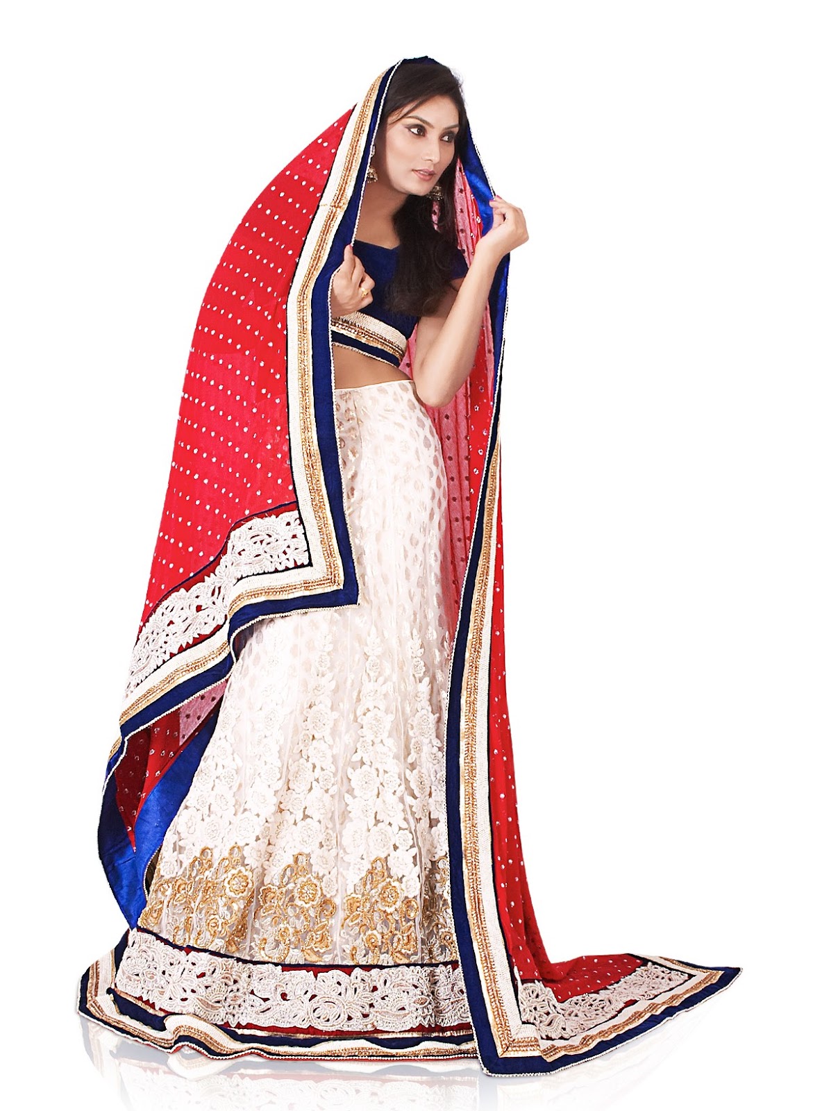 Europe Fashion Men's And Women Wears: Flower Lehenga Selection for Bridals 2015-16