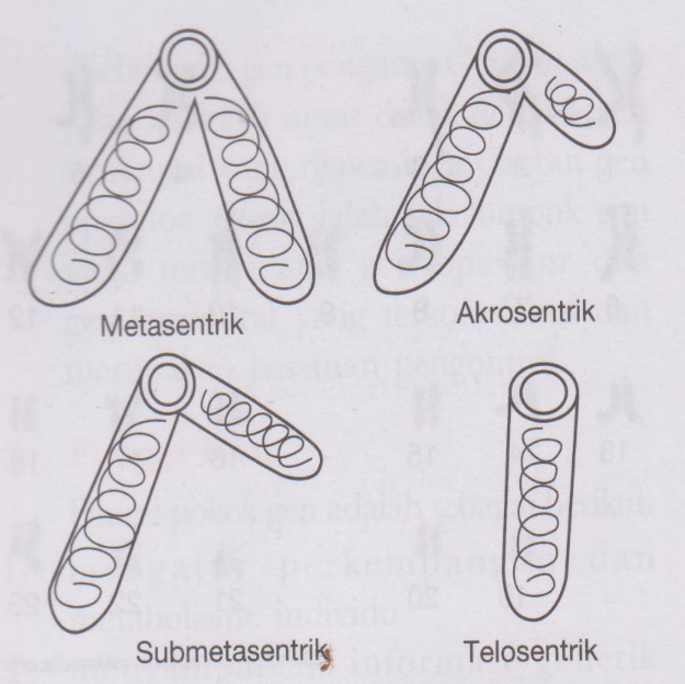 Warna Warni Biologi Oktober 2017