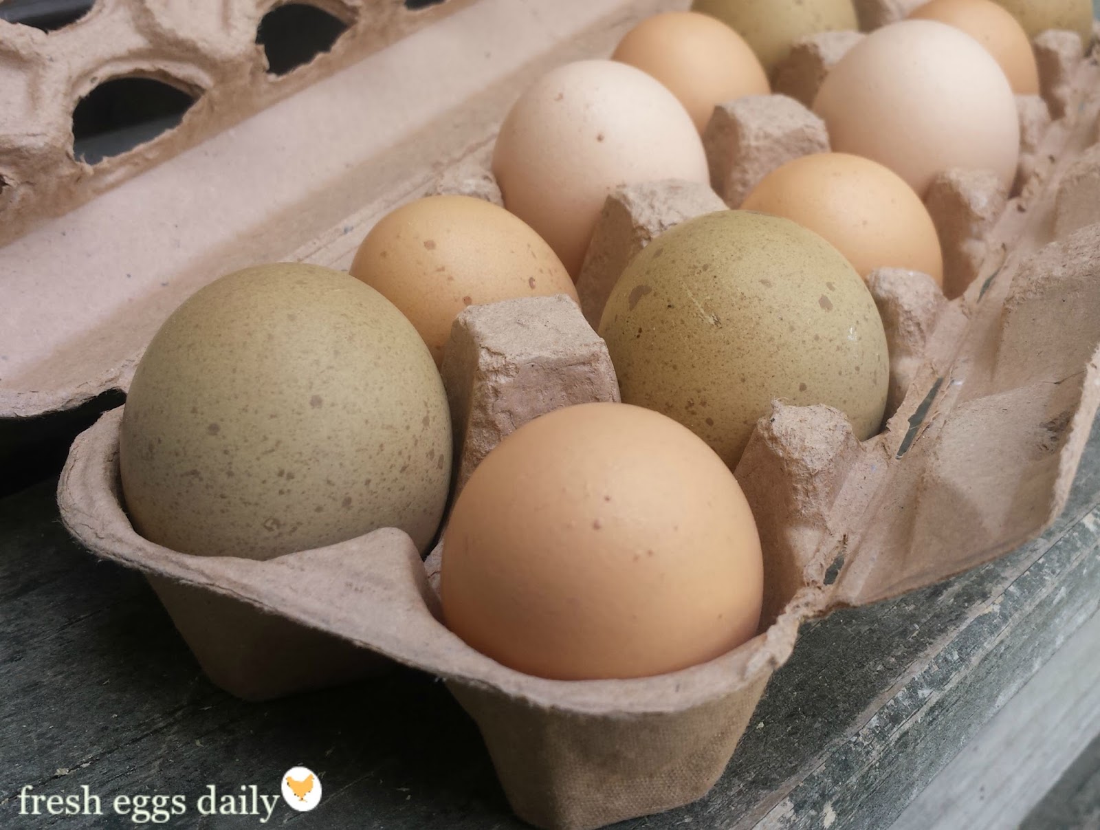 Why are Eggs Sold by the Dozen? Fresh Eggs Daily®