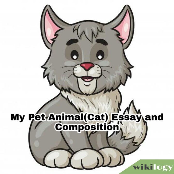 My Pet Animal Essay and Composition- for all class students