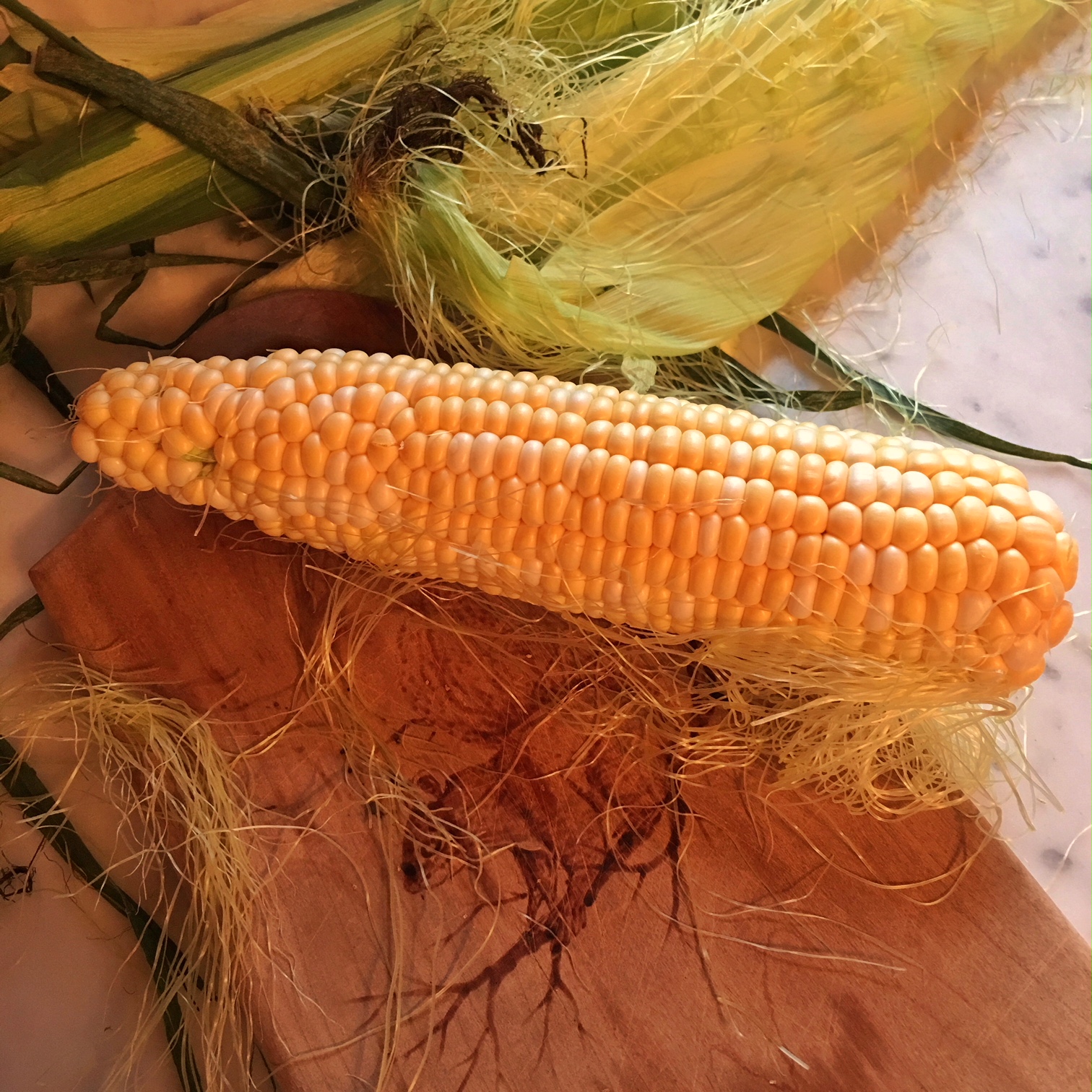 Content in a Cottage Cooking Corn on the Cob in Microwave