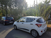 IMG_20190601_075307.jpg