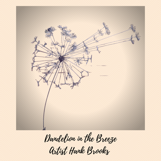 Safety Harbor Garden Club