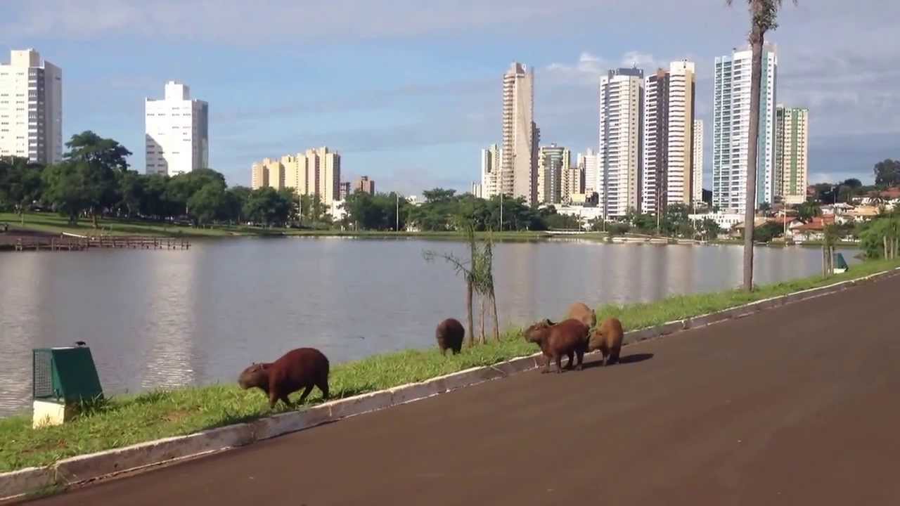 Meu Mundo Turístico Mato Grosso do Sul Campo Grande Parque das Nações Indígenas Meu Mundo Turístico Mato Grosso do Sul Campo Grande Parque das Nações Indígenas