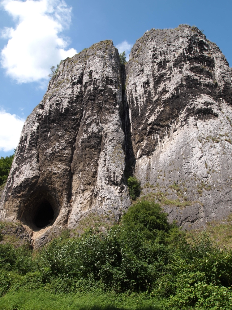 Naturphoto Pater und Nonne