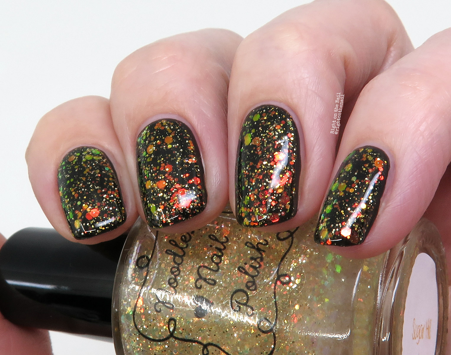 Right on the Nail Noodles Nail Polish Fall Sightseeing Collection 2020 Swatches and Reviews