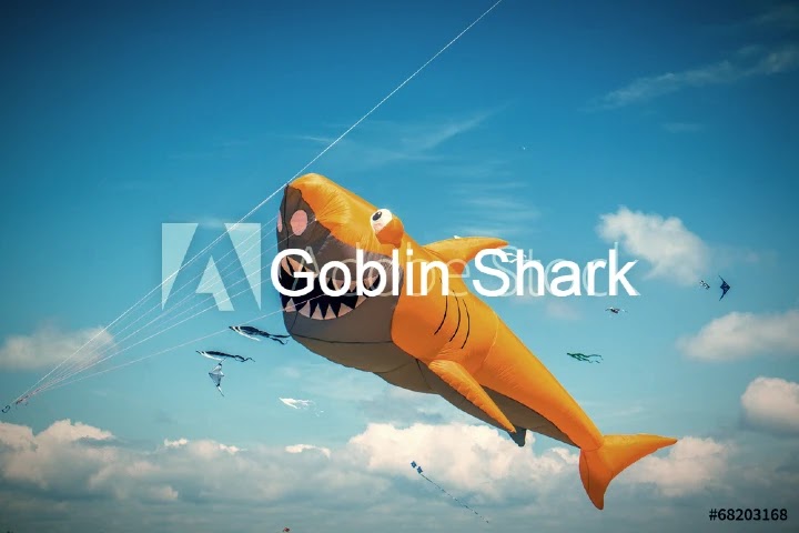 Goblin Shark