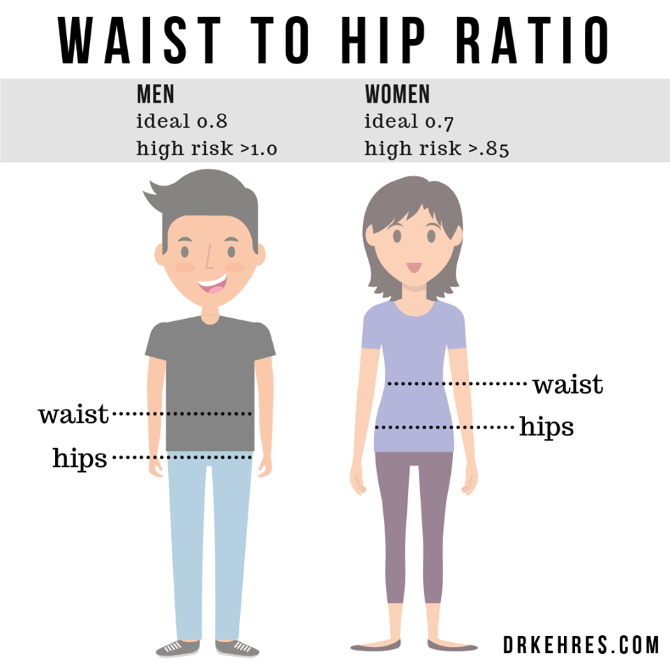 DrKehres.com health blog: Waist to Hip Ratio and Overall Health