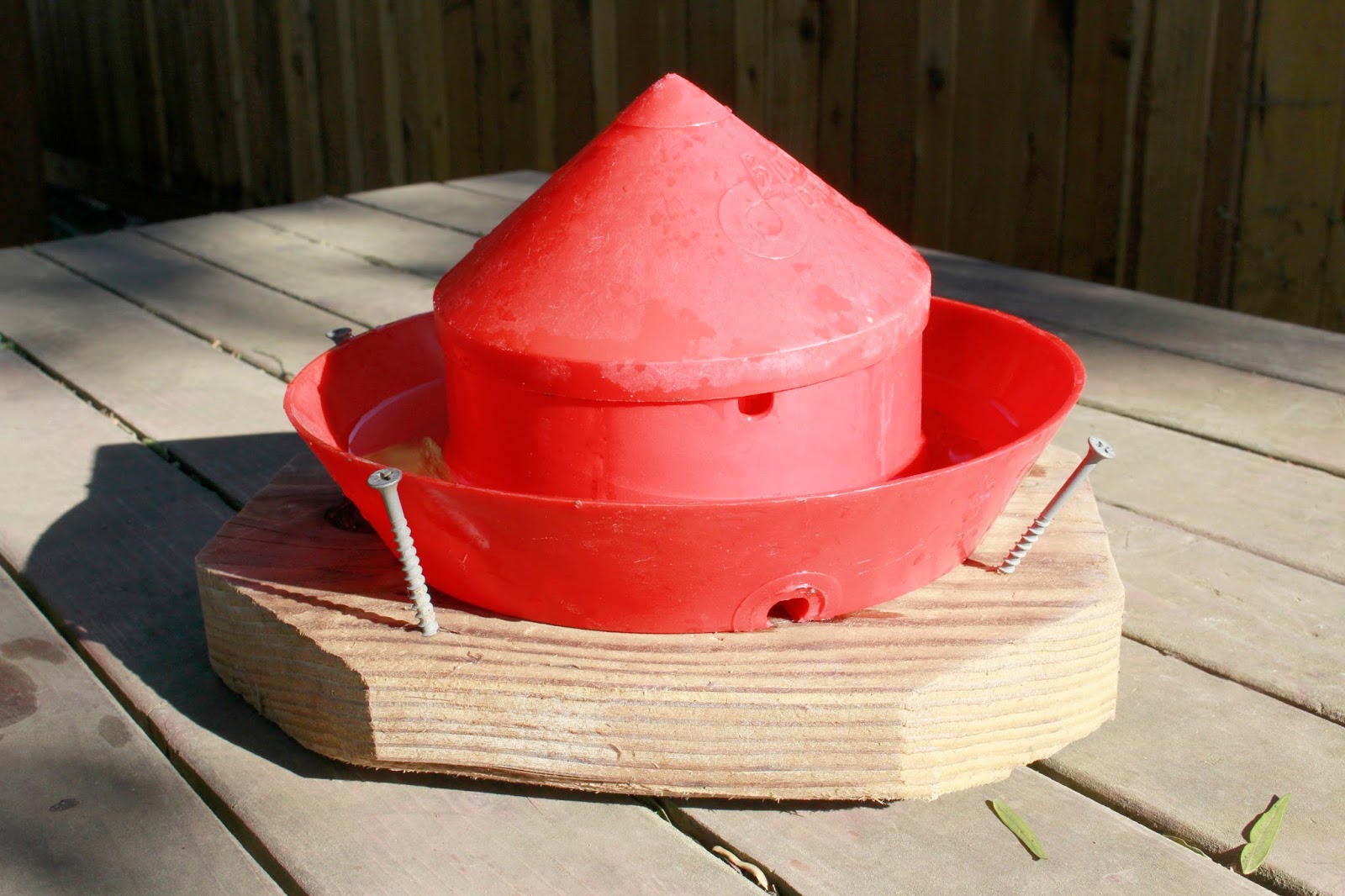 Metzer Farms Duck and Goose Blog Getting Ready for Your Ducklings and