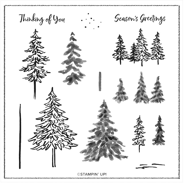 In The Pines Stampin Up ideas