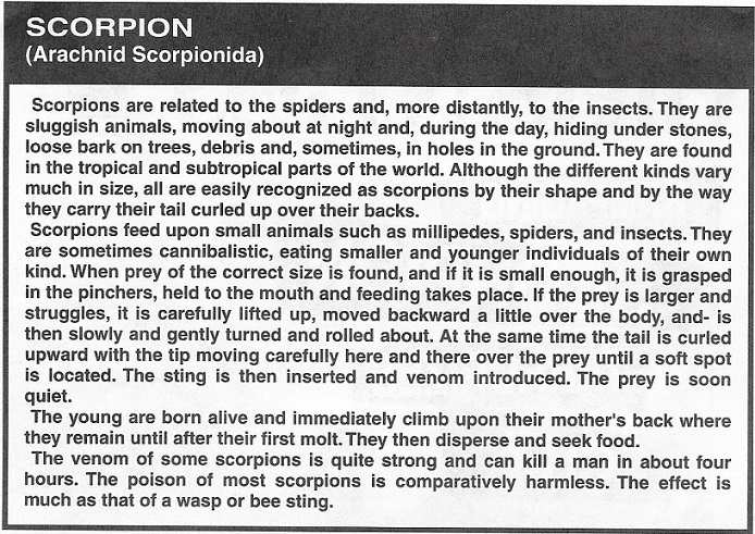 Plus, they have to tell you all about the scorpions ~