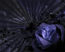 picasa fundos matos postado vanessa as lima