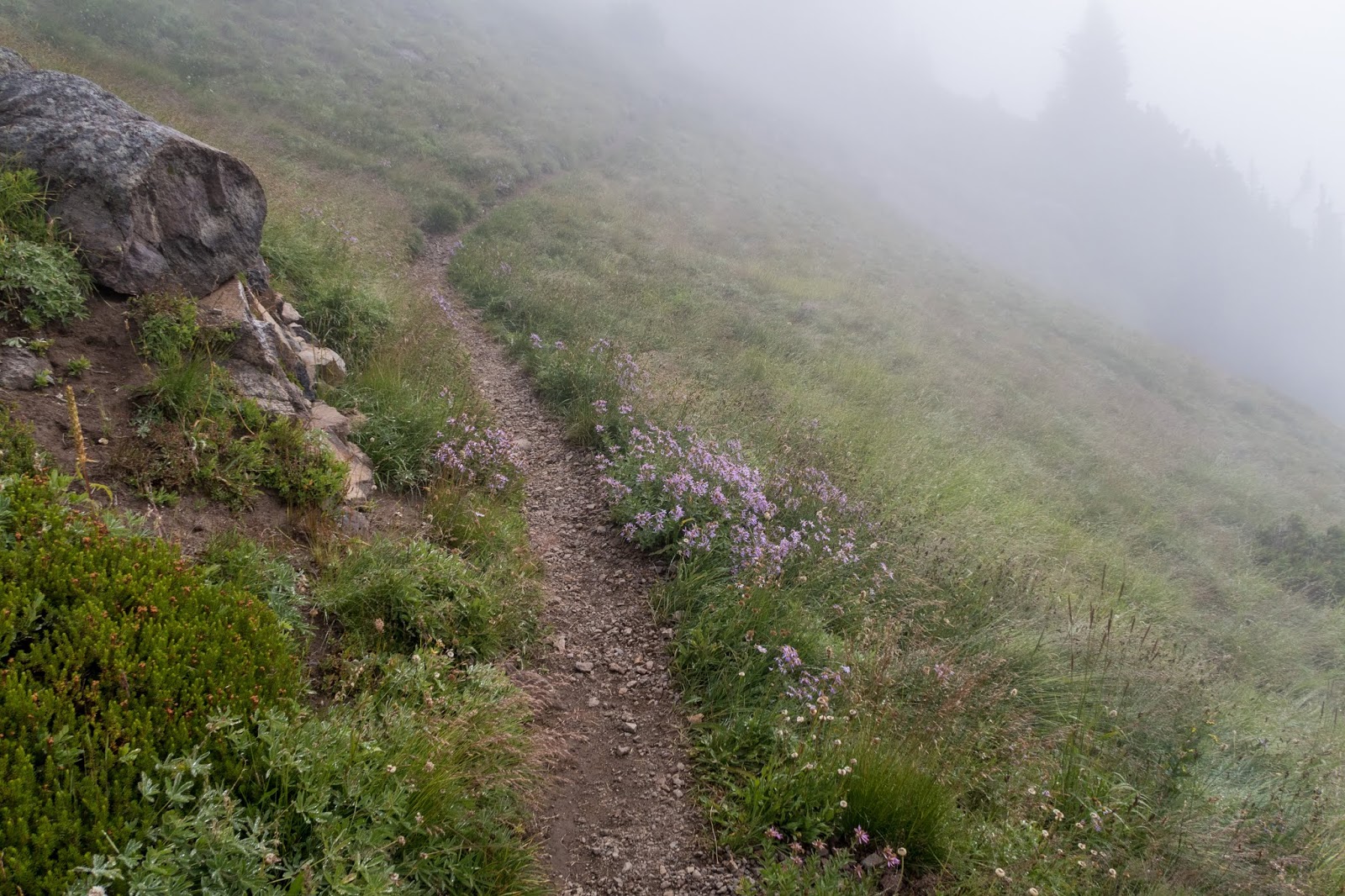 Eric's Hikes: Goat Rocks Wilderness: Goat Lake Loop and Old Snowy