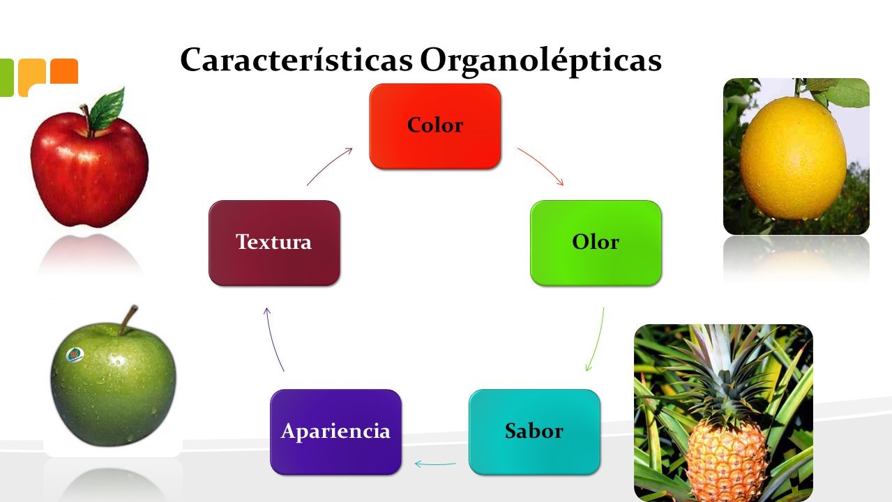 Me divierto aprendiendo NATURALES SEMANA 26