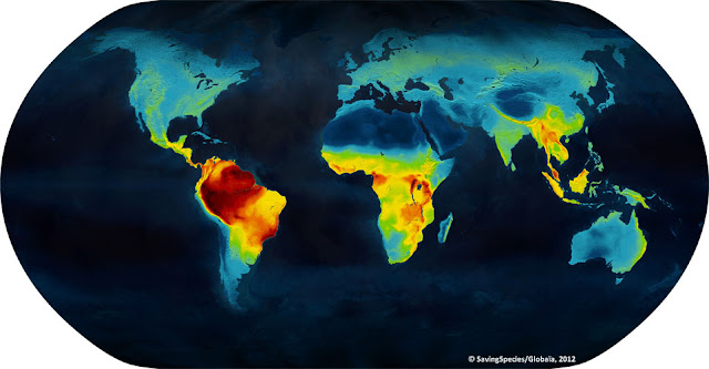 number of animal species world map med