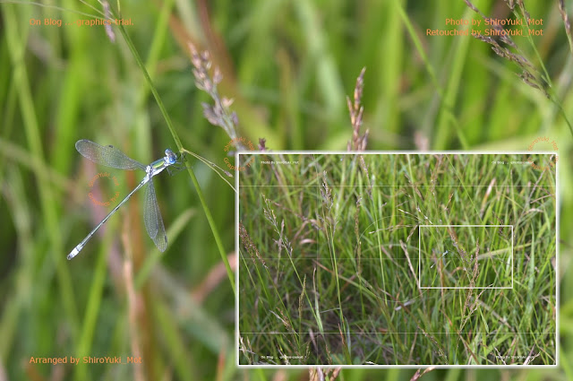 Thumbnail does not allow you to expand!