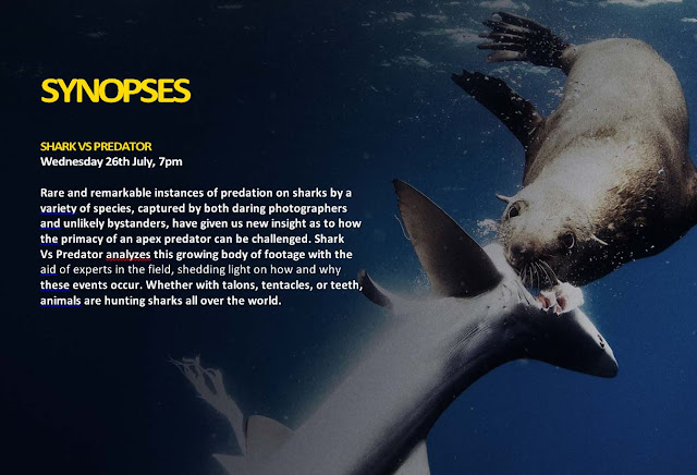 Sharkfest comes to Nat Geo WILD next week. Enjoy These Shark Facts And