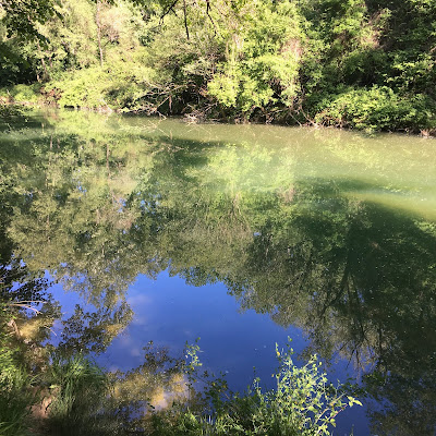 Montagnola senese: sentiero n. 402 nella Riserva Naturale Alto Merse