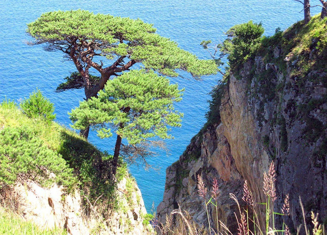 бывают светлые мгновенья земля так несравненно хороша. Смотреть фото бывают светлые мгновенья земля так несравненно хороша. Смотреть картинку бывают светлые мгновенья земля так несравненно хороша. Картинка про бывают светлые мгновенья земля так несравненно хороша. Фото бывают светлые мгновенья земля так несравненно хороша бывают светлые мгновенья земля так несравненно хороша. Смотреть фото бывают светлые мгновенья земля так несравненно хороша. Смотреть картинку бывают светлые мгновенья земля так несравненно хороша. Картинка про бывают светлые мгновенья земля так несравненно хороша. Фото бывают светлые мгновенья земля так несравненно хороша