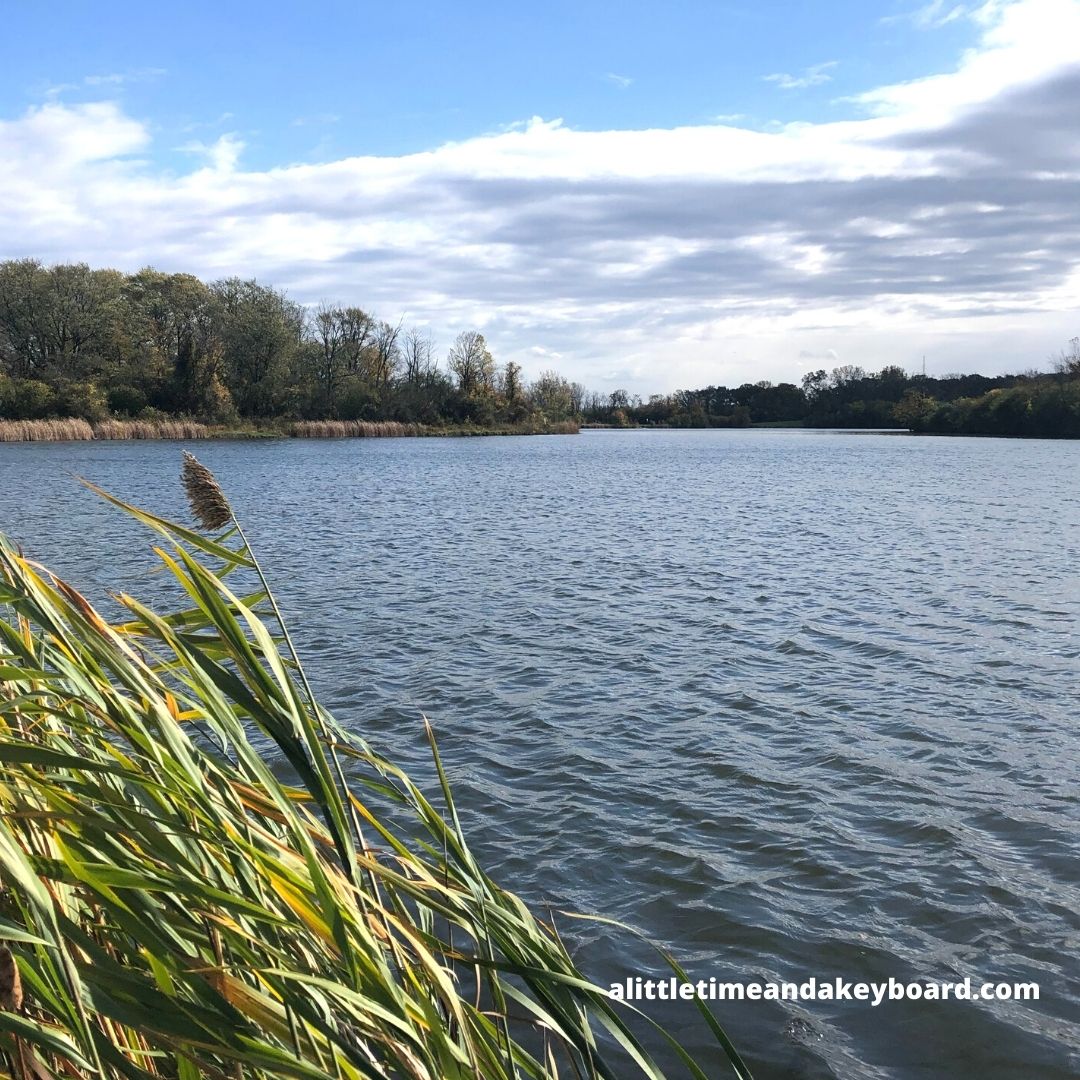 A Little Time and a Keyboard Hiking Off of the Des Plaines River Trail to Beck Lake
