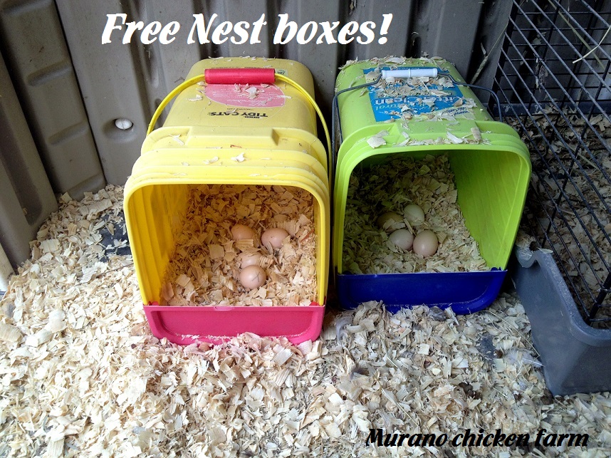 DIY nest boxes from kitty litter pails Murano Chicken Farm