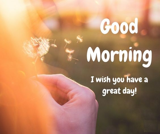 best good morning images free download 2017 latest