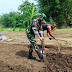 Babinsa Dampingi Warga Buka Lahan Bawang Merah