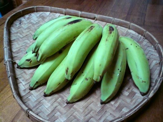 Food, Lifestyle, Education, Parenting, DIY CaraResepi