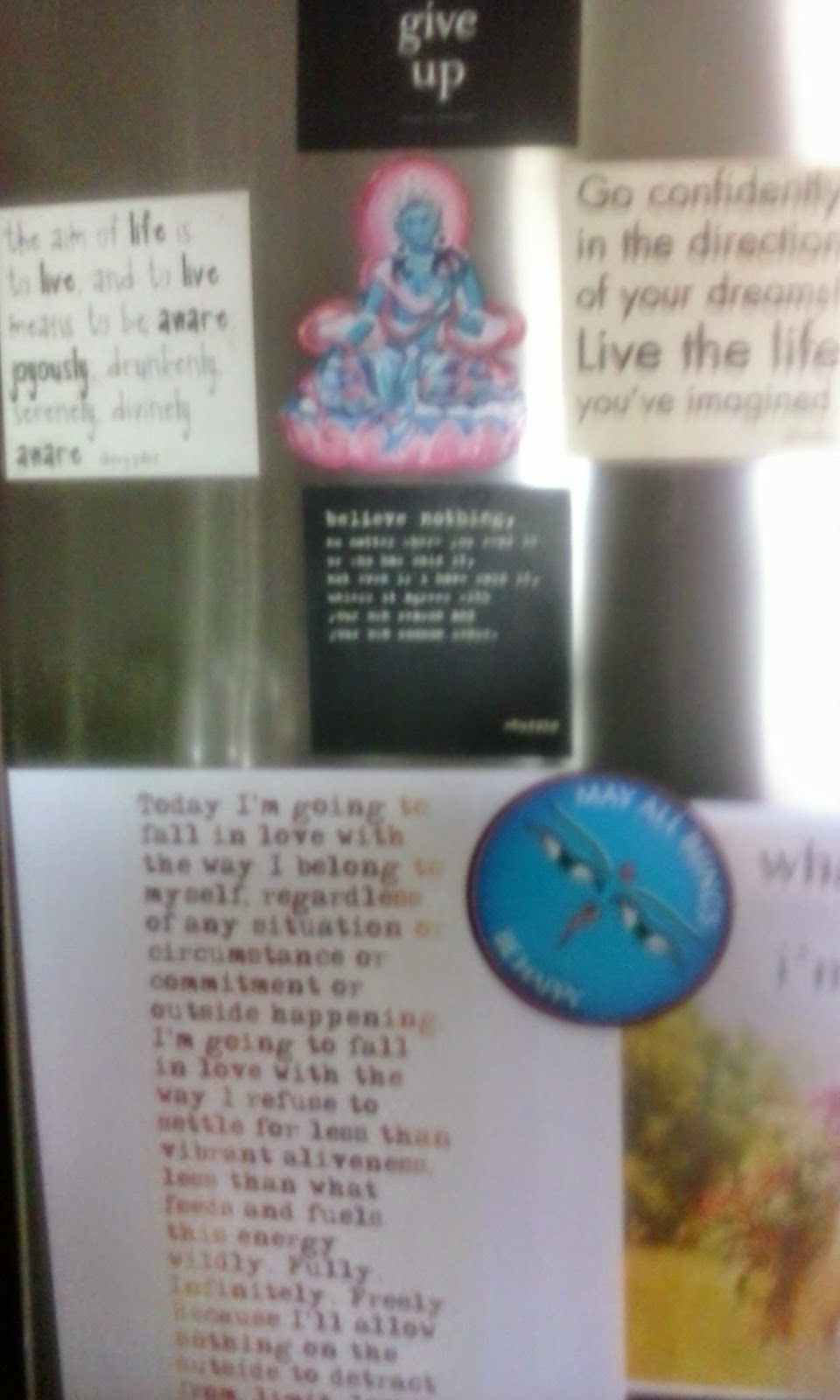 The Door of Awesomeness (aka The Fridge)
