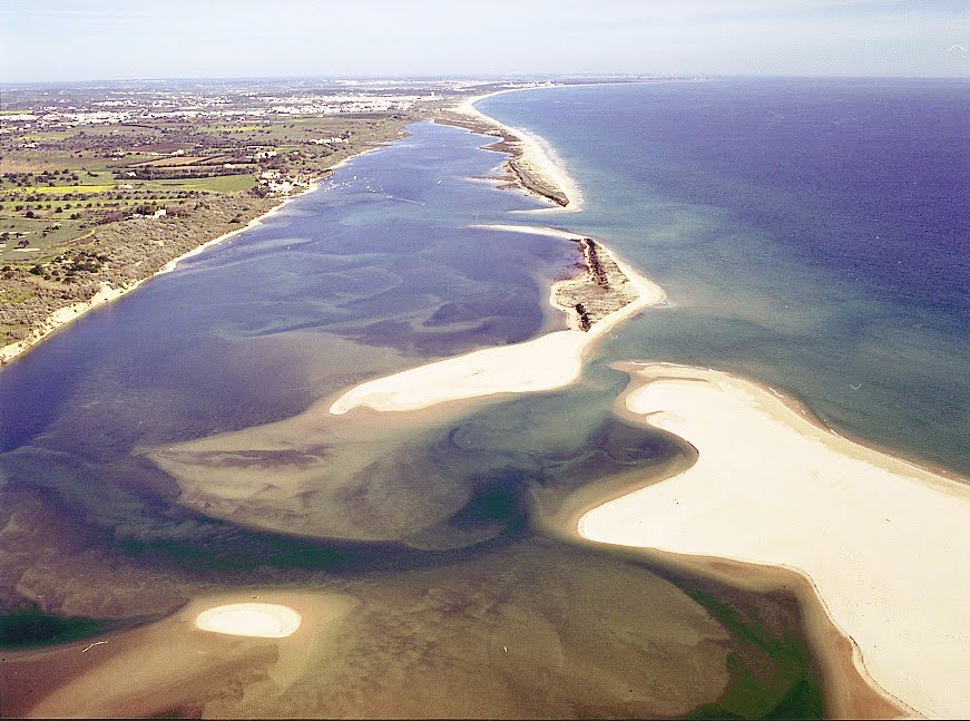 CANÁRIOS FAÍSCA: PRAIA DA MANTA ROTA(ALGARVE)