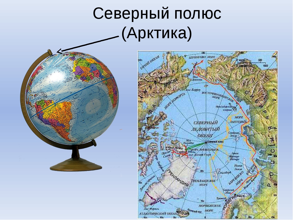 Где находится географические полюса земли. Северный и Южный полюс на глобусе. Северный полюс и Южный полюс на глобусе. Северный полюс Арктика на глобусе. Северный полюс на глобусе сверху или снизу.