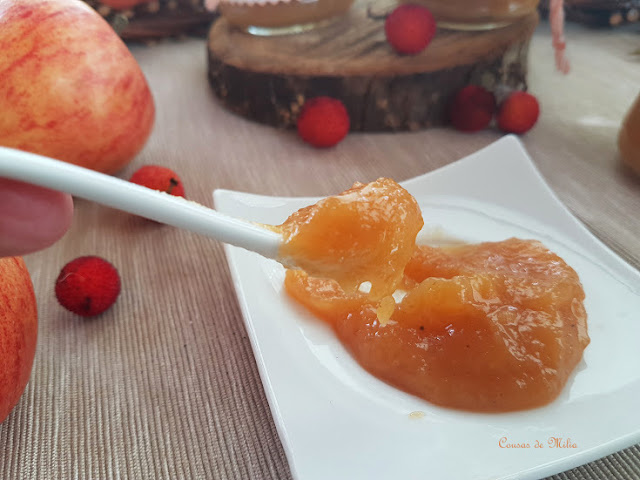 Mermelada de manzanas y madroños