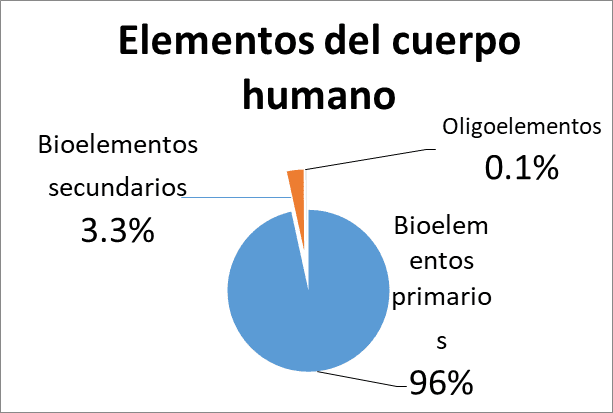 elementos del cuerpo humano