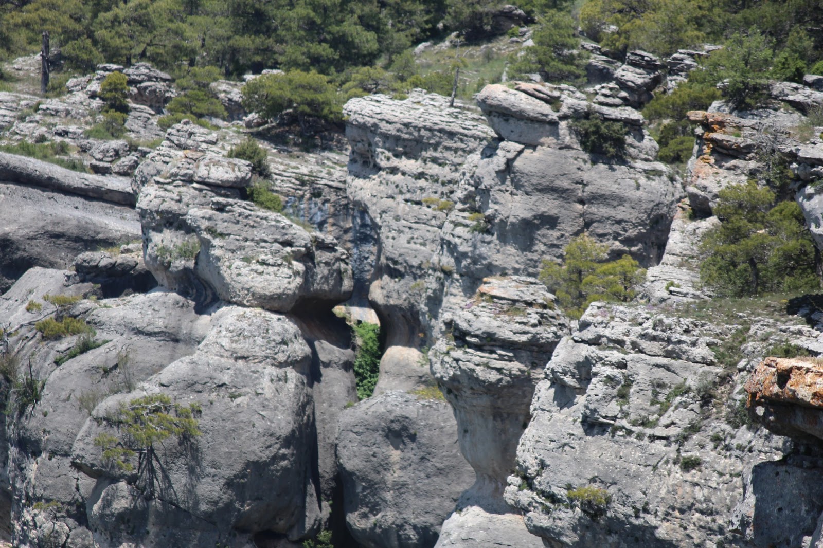 Historia y Genealogía Las Majadas. Cuenca
