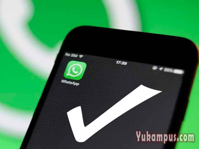 Cara agar WhatsApp Centang Satu Tapi Online YuKampus Cara agar WhatsApp Centang Satu Tapi Online YuKampus