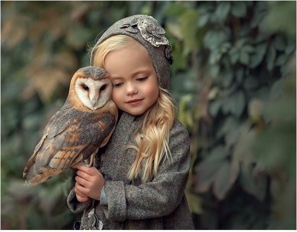 SERENIDADE TRADUZIDA EM IMAGENS